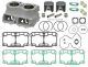 Sno-X Cylinder kit Rotax 800cc Etec/Ptek (Dual piston rings)